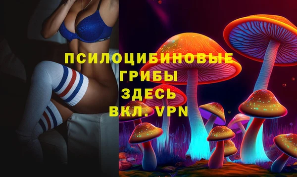 шишки Вязники